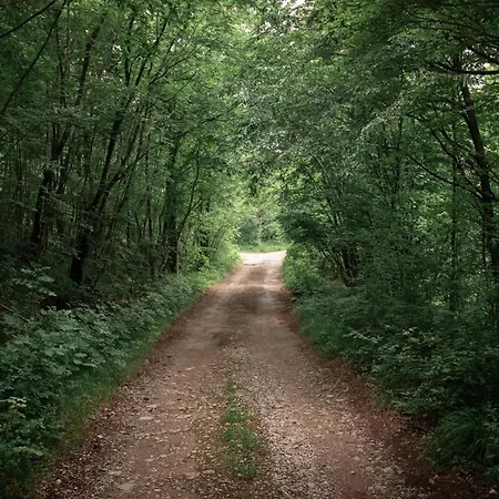 Moretto With Private Swimming Pool And Jacuzzi * Viskovo