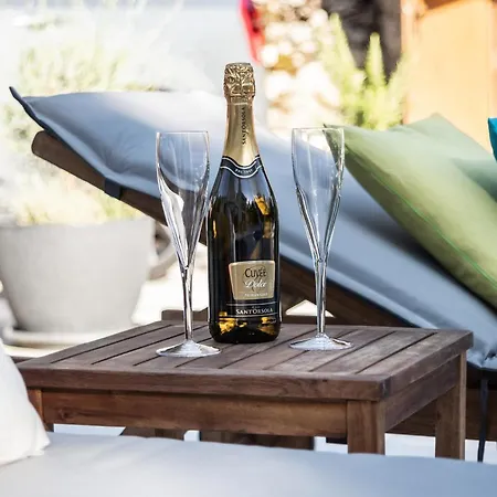 Moretto With Private Swimming Pool And Jacuzzi וילה Viskovo