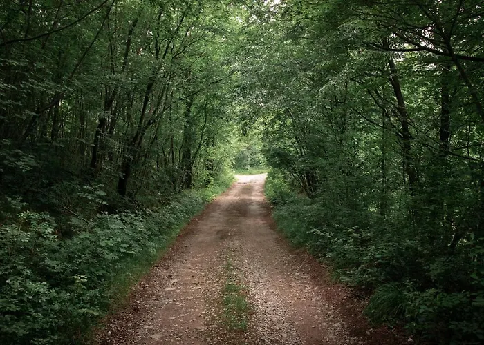 Villa Moretto With Private Pool & Jacuzzi - Rijeka Area * Viskovo